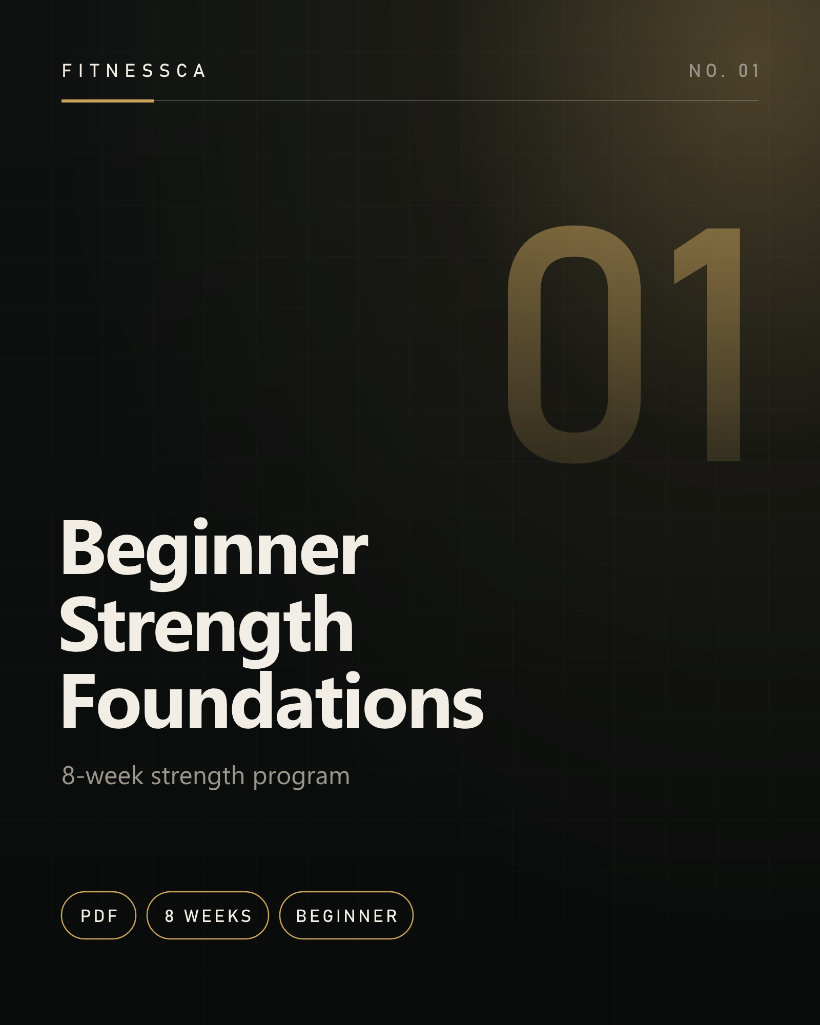 Beginner Strength Foundations