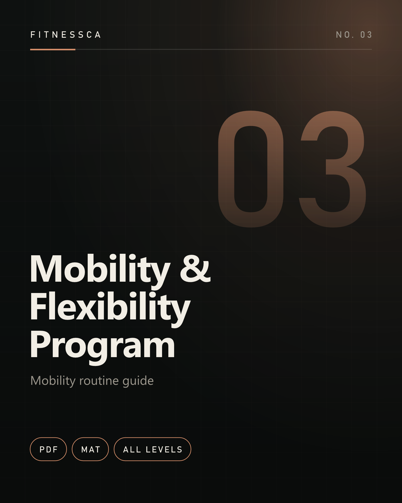 Mobility & Flexibility Program